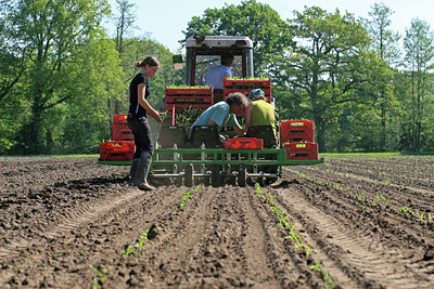 BUITEN BEELD Foto: 51758