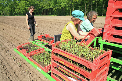 BUITEN BEELD Foto: 51760