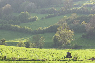 BUITEN BEELD Foto: 51773