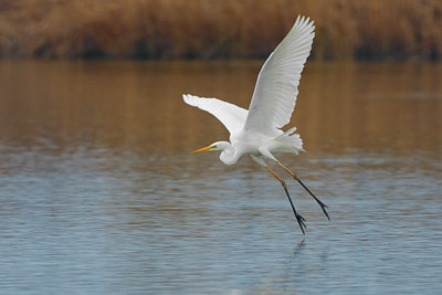 BUITEN BEELD Foto: 51786