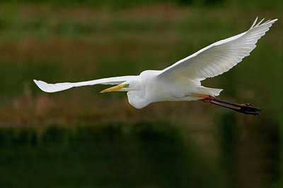 BUITEN BEELD Foto: 51789
