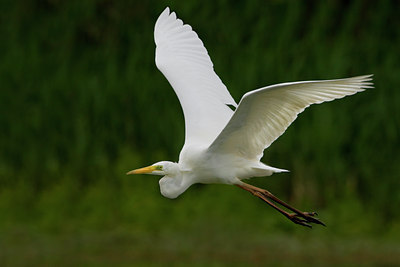 BUITEN BEELD Foto: 51792