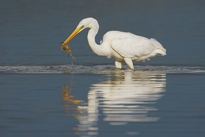 BUITEN BEELD Foto: 51804