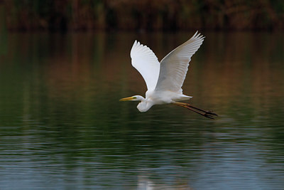 BUITEN BEELD Foto: 51806