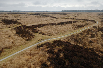 BUITEN BEELD Foto: 51859