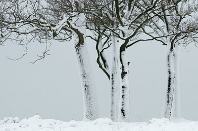 BUITEN BEELD Foto: 51890