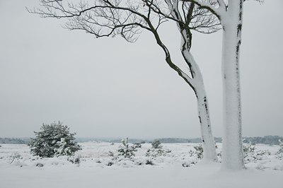 BUITEN BEELD Foto: 51891