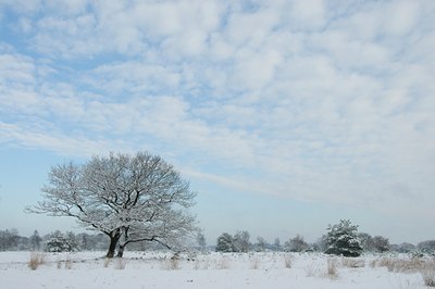 BUITEN BEELD Foto: 51895