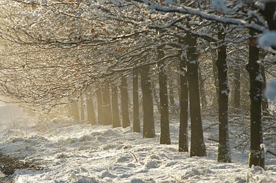 BUITEN BEELD Foto: 51899