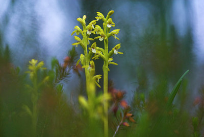 BUITEN BEELD Foto: 52034