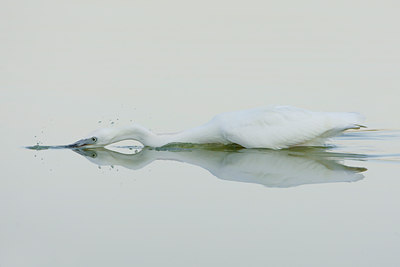 BUITEN BEELD Foto: 52066