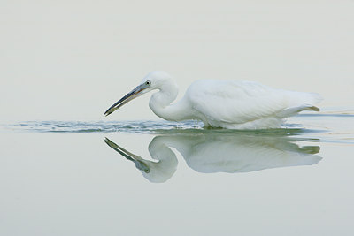 BUITEN BEELD Foto: 52067