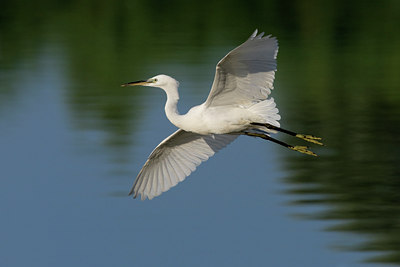 BUITEN BEELD Foto: 52075