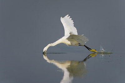 BUITEN BEELD Foto: 52106