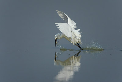 BUITEN BEELD Foto: 52107