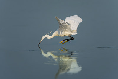 BUITEN BEELD Foto: 52114