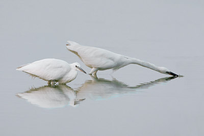 BUITEN BEELD Foto: 52122