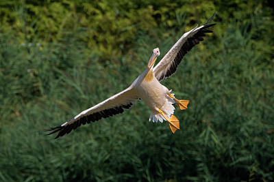 BUITEN BEELD Foto: 52156