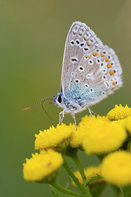 BUITEN BEELD Foto: 52176
