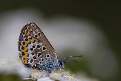 BUITEN BEELD Foto: 52194