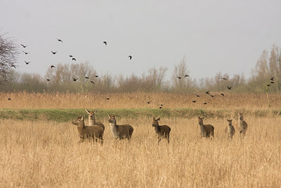 BUITEN BEELD Foto: 52210