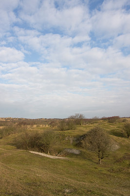 BUITEN BEELD Foto: 52219