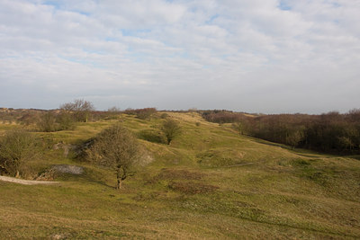 BUITEN BEELD Foto: 52220