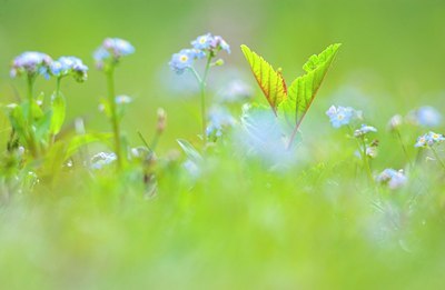 BUITEN BEELD Foto: 52236