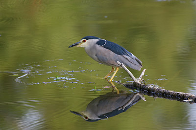 BUITEN BEELD Foto: 52266