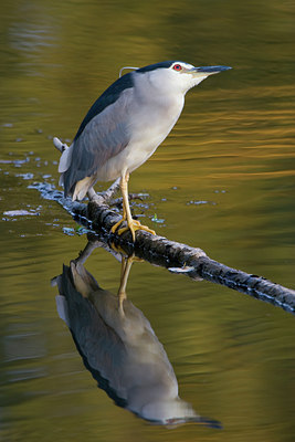 BUITEN BEELD Foto: 52272