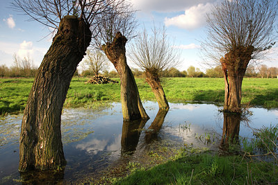 BUITEN BEELD Foto: 52346