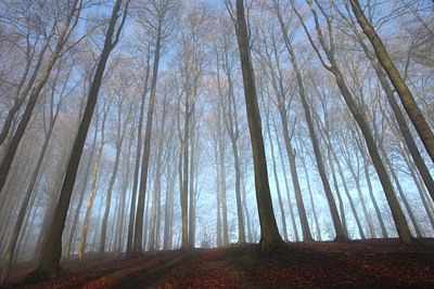 BUITEN BEELD Foto: 52354