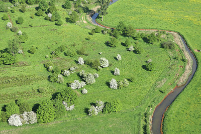 BUITEN BEELD Foto: 52362