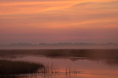 BUITEN BEELD Foto: 52384