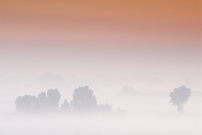 BUITEN BEELD Foto: 52396