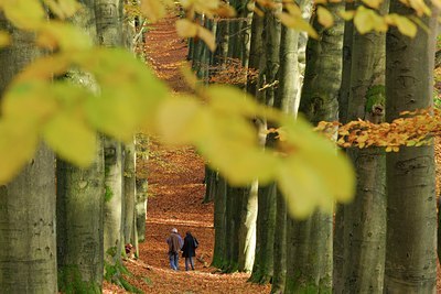 BUITEN BEELD Foto: 52397