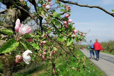 BUITEN BEELD Foto: 52399