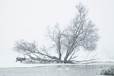 BUITEN BEELD Foto: 52444