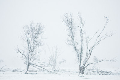 BUITEN BEELD Foto: 52445