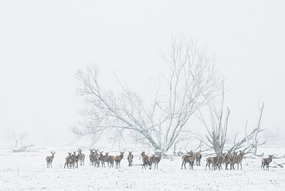 BUITEN BEELD Foto: 52447