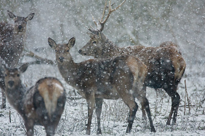 BUITEN BEELD Foto: 52455