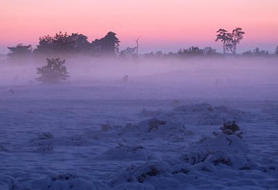 BUITEN BEELD Foto: 52477