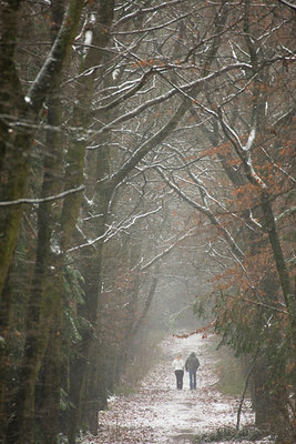 BUITEN BEELD Foto: 52486