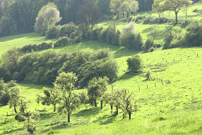 BUITEN BEELD Foto: 52487