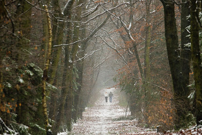 BUITEN BEELD Foto: 52488