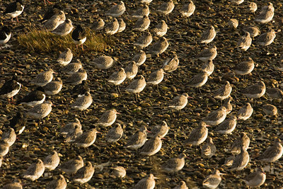 BUITEN BEELD Foto: 52503