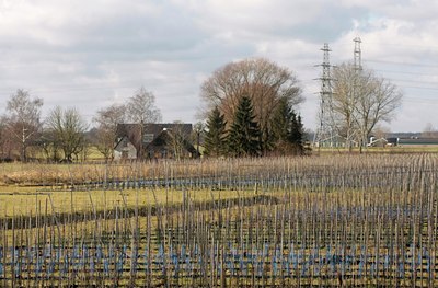 BUITEN BEELD Foto: 52597