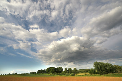 BUITEN BEELD Foto: 52623