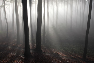 BUITEN BEELD Foto: 52624