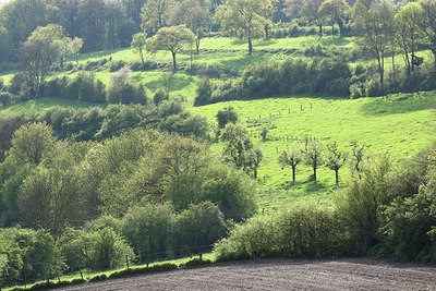 BUITEN BEELD Foto: 52632